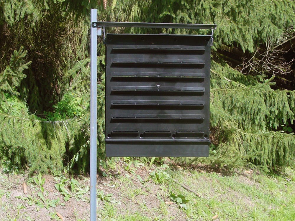 Borkenkaeferfalle wald